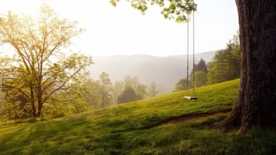 Memories - Today’s Point